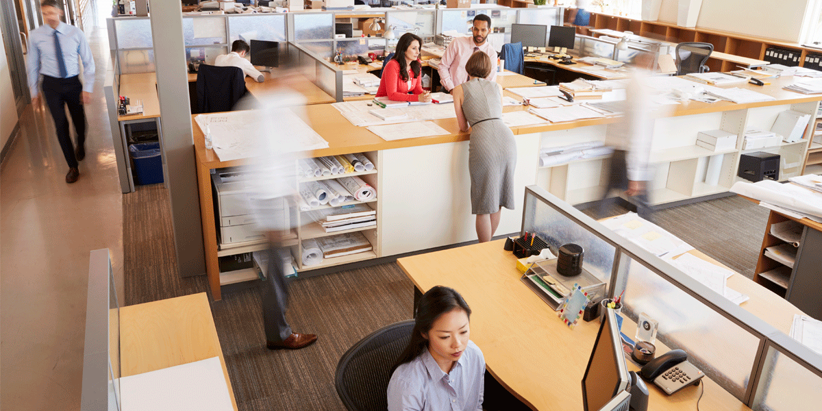 Busy open office plan.